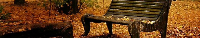 Banner profilu