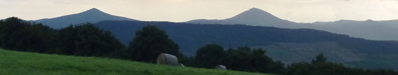 Banner profilu