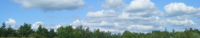 Banner profilu