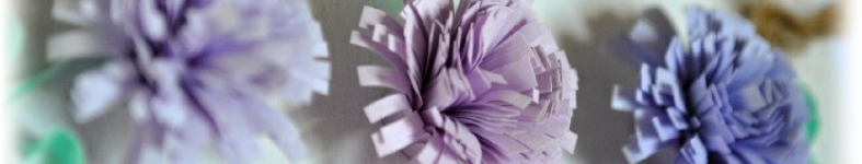 Banner profilu