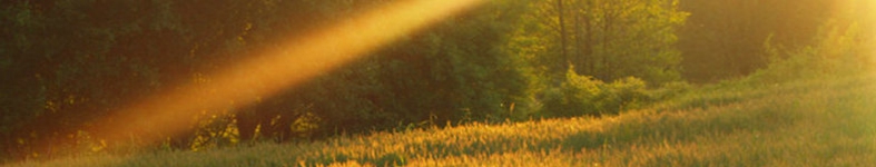 Banner profilu