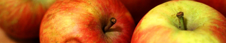 Banner profilu