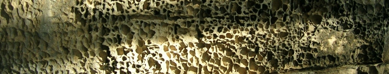 Banner profilu