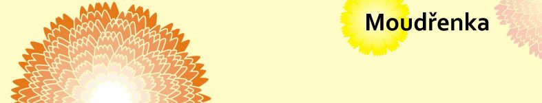 Banner profilu