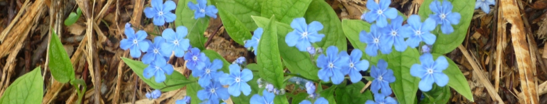 Banner profilu