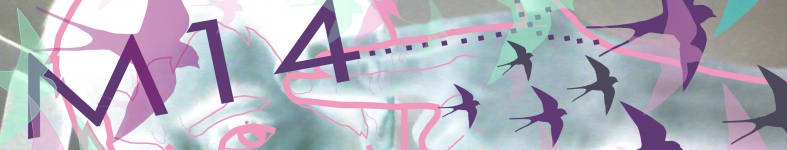 Banner profilu