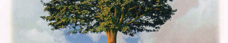 Banner profilu