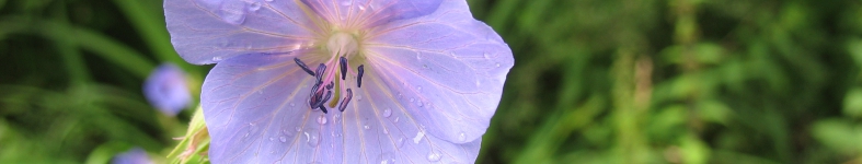Banner profilu