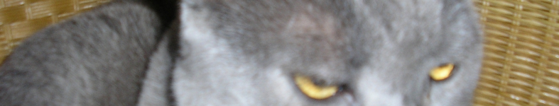 Banner profilu