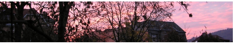 Banner profilu