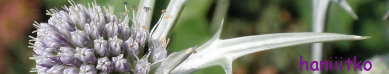 Banner profilu