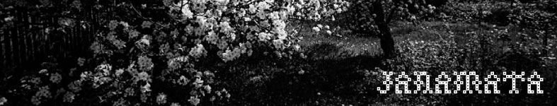 Banner profilu