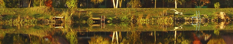 Banner profilu