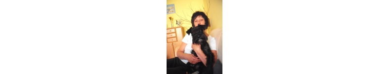 Banner profilu