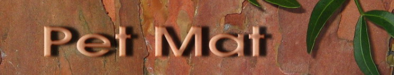 Banner profilu