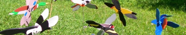 Banner profilu
