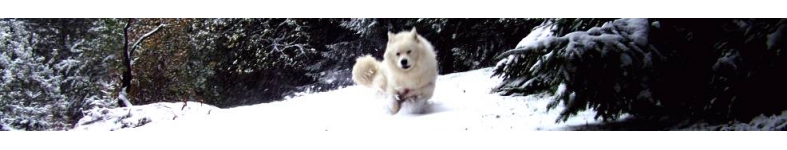 Banner profilu