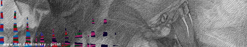 Banner profilu