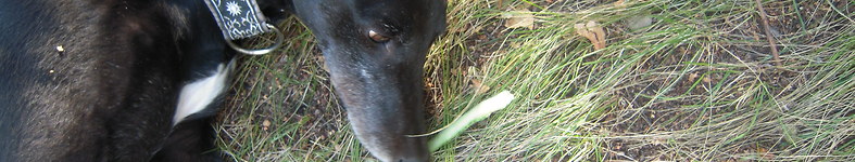 Banner profilu