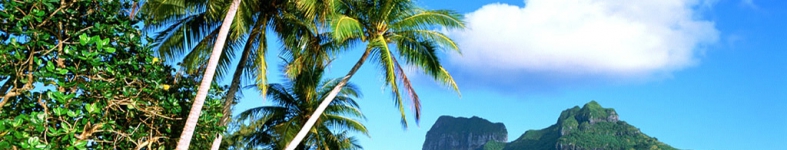 Banner profilu