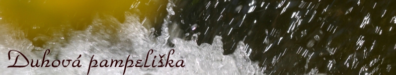 Banner profilu