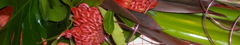 Banner profilu