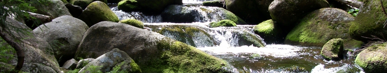 Banner profilu