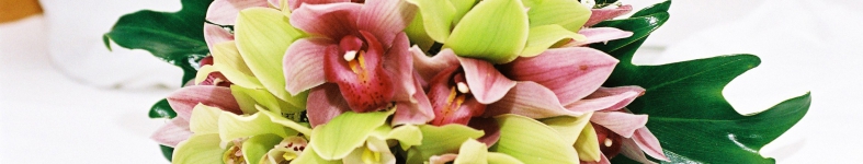 Banner profilu