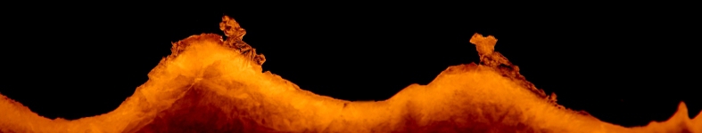 Banner profilu