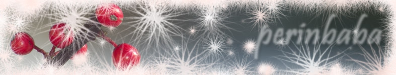 Banner profilu