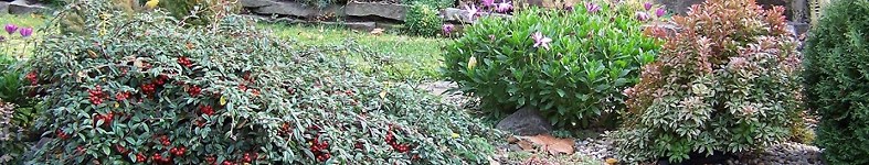 Banner profilu