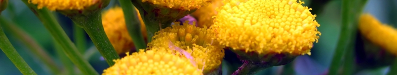 Banner profilu