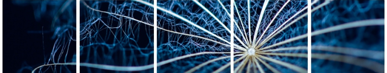 Banner profilu