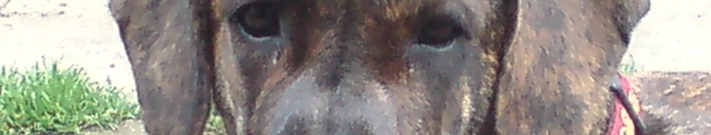 Banner profilu