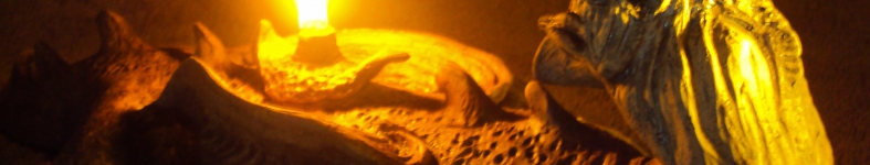 Banner profilu