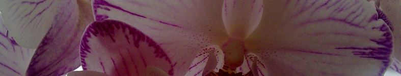 Banner profilu