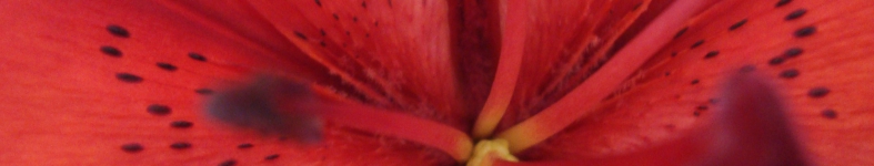 Banner profilu