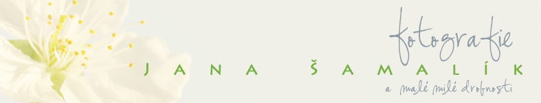 Banner profilu