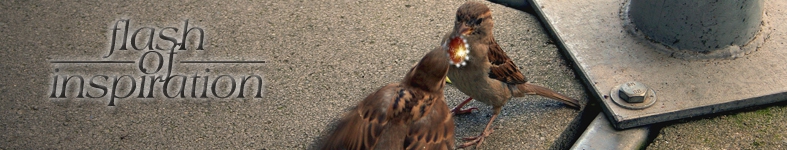 Banner profilu