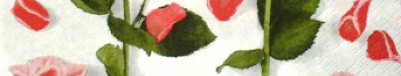 Banner profilu
