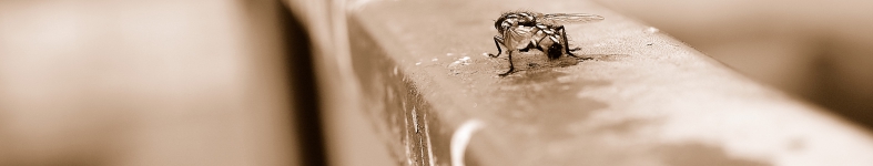 Banner profilu