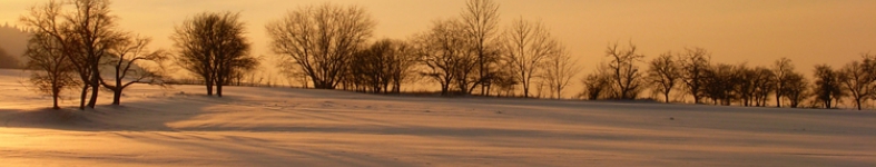 Banner profilu