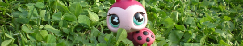 Banner profilu