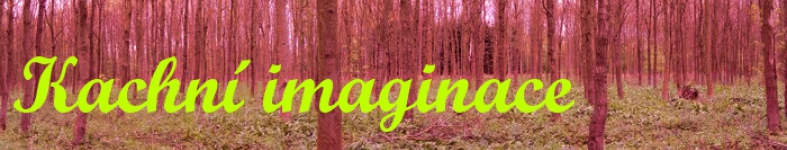 Banner profilu