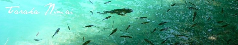 Banner profilu