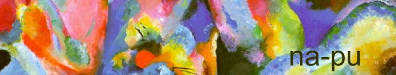 Banner profilu