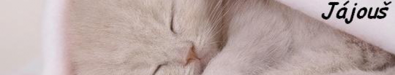 Banner profilu