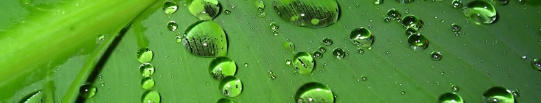 Banner profilu