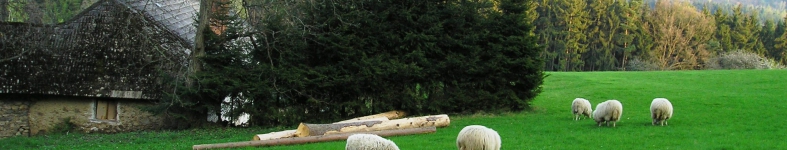 Banner profilu