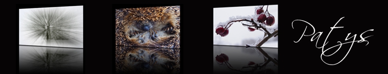 Banner profilu
